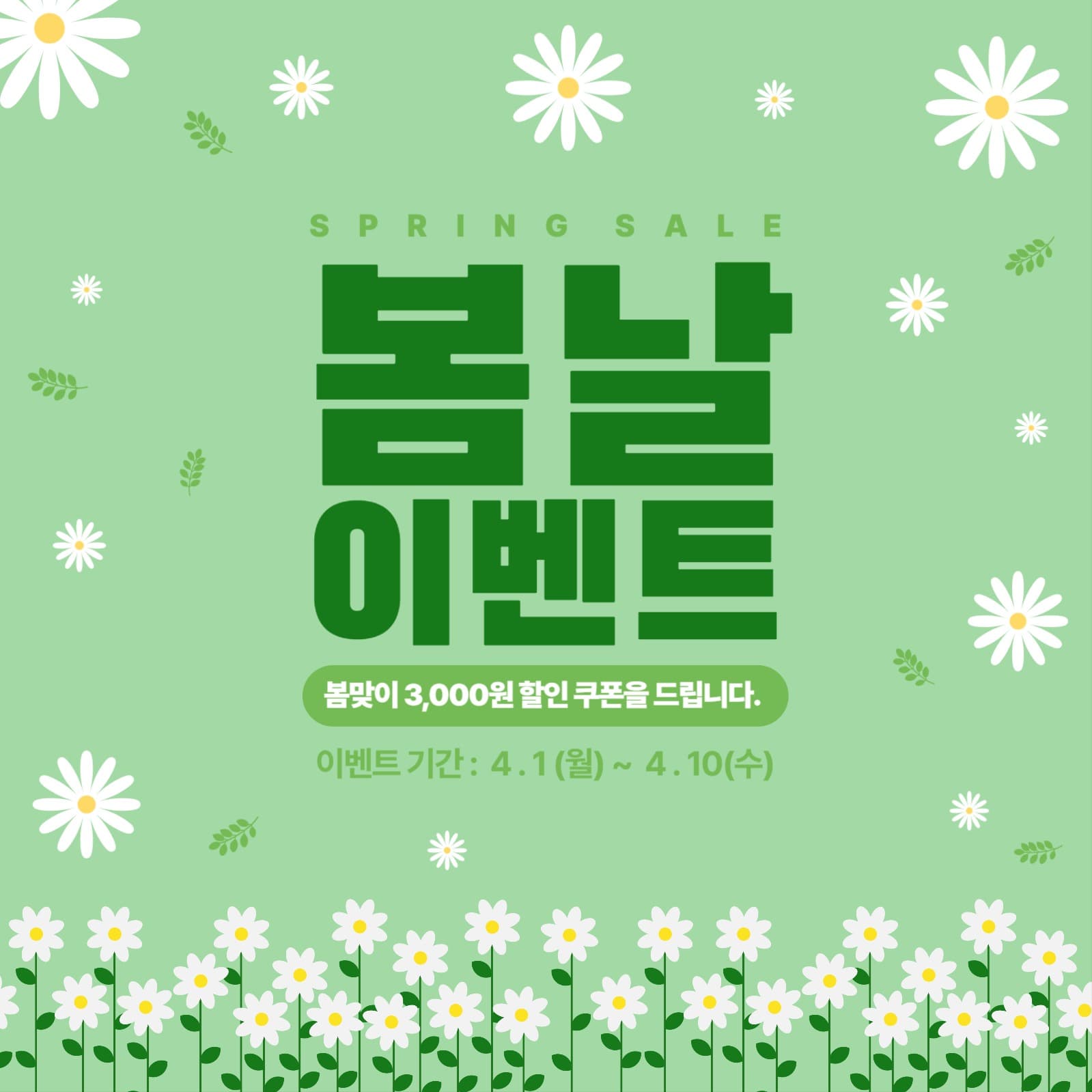 봄할인 이벤트