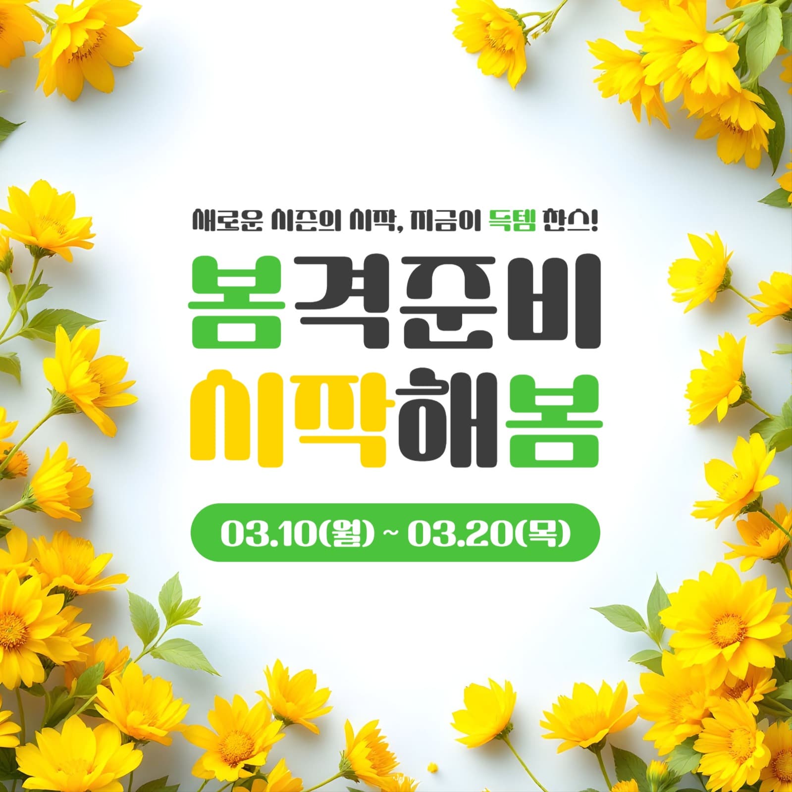봄 할인