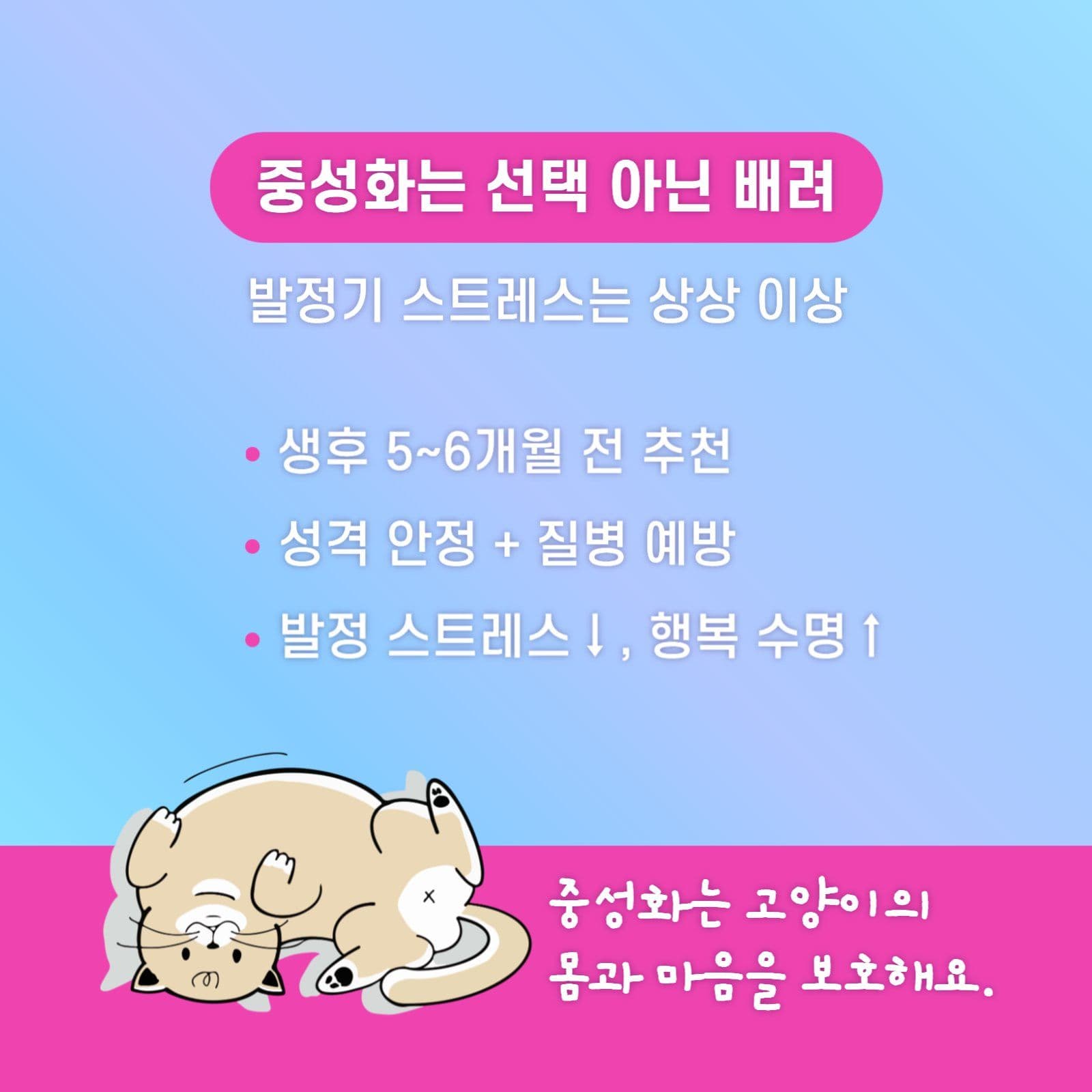 고양이와 집사