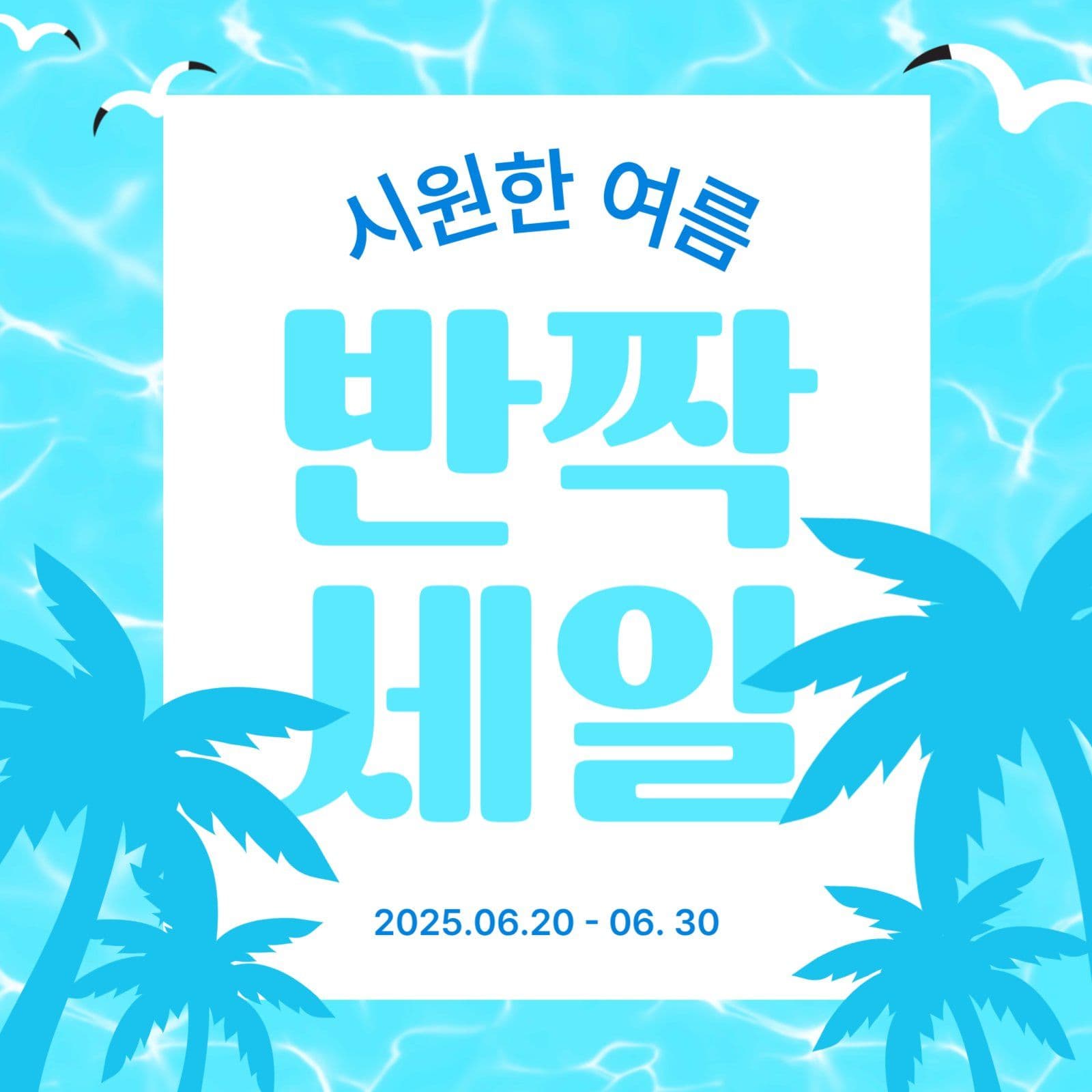 여름 반짝 세일