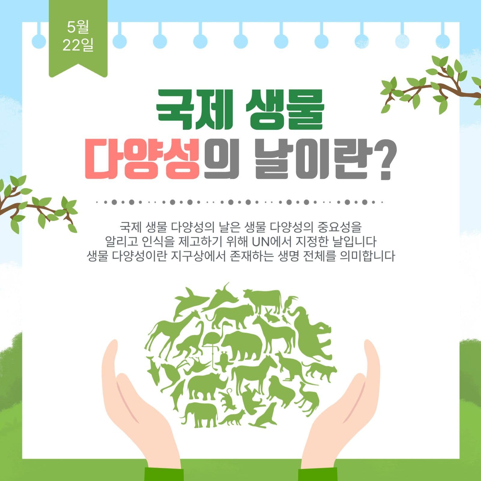 국제생물다양성의날이란