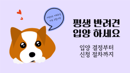 반려견 입양 안내
