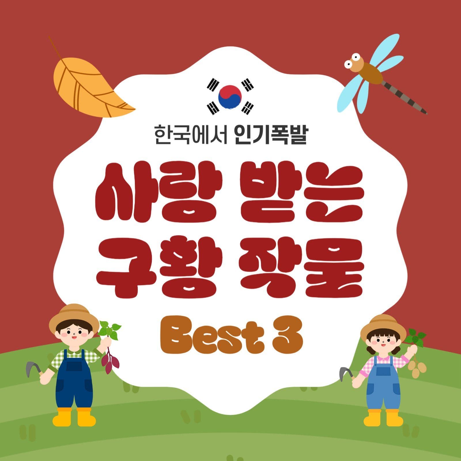구황작물 순위 카드뉴스