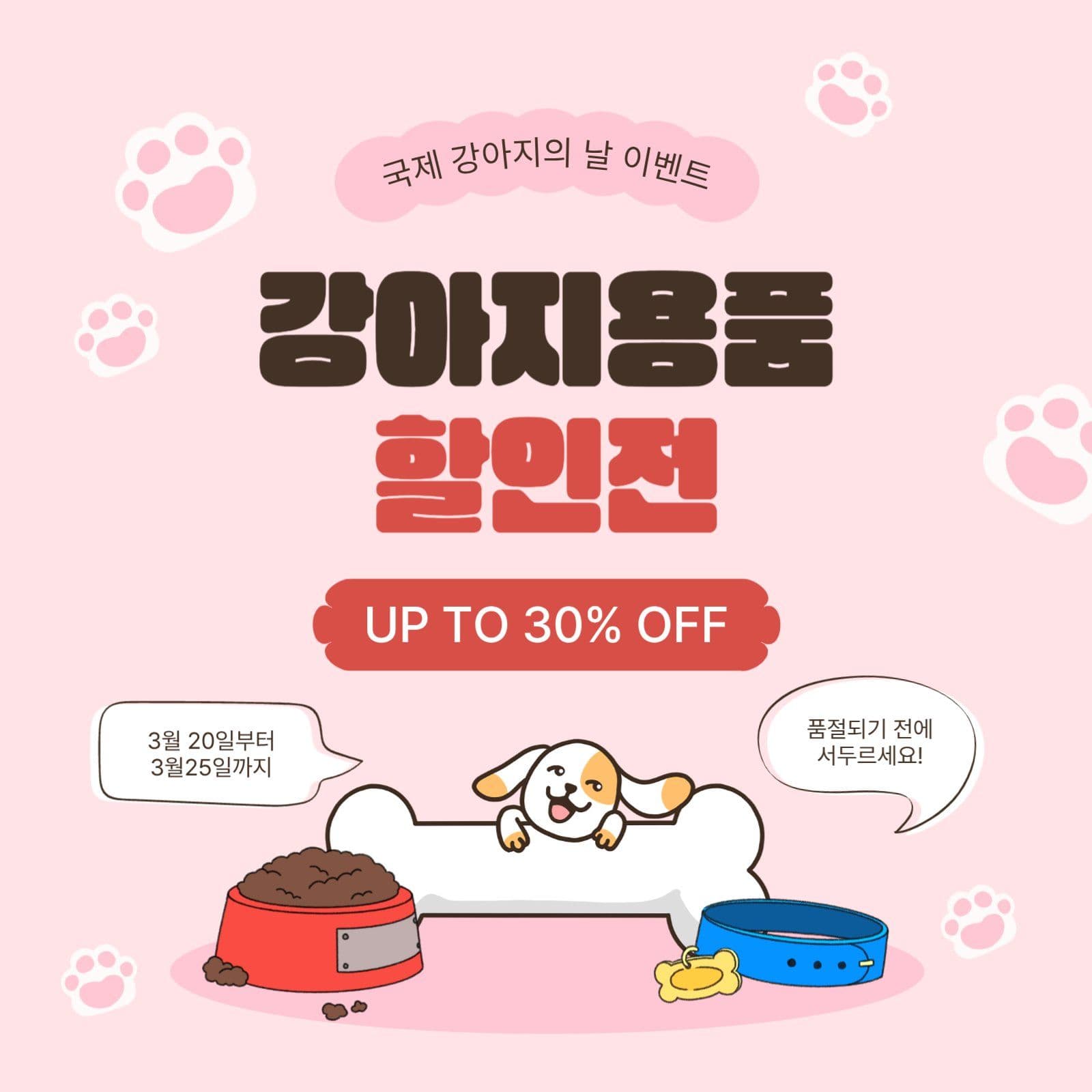 강아지용품할인전