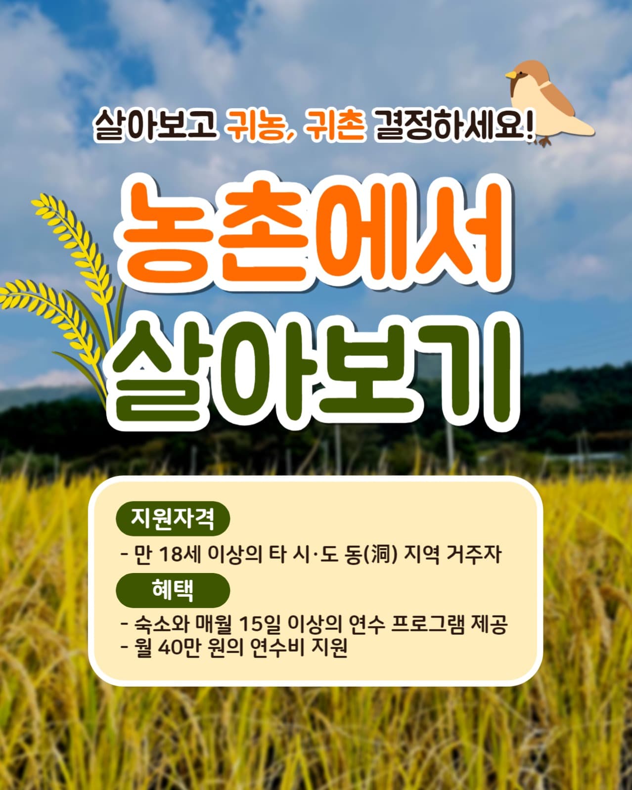 농촌에서 살아보기 인스타(세로)