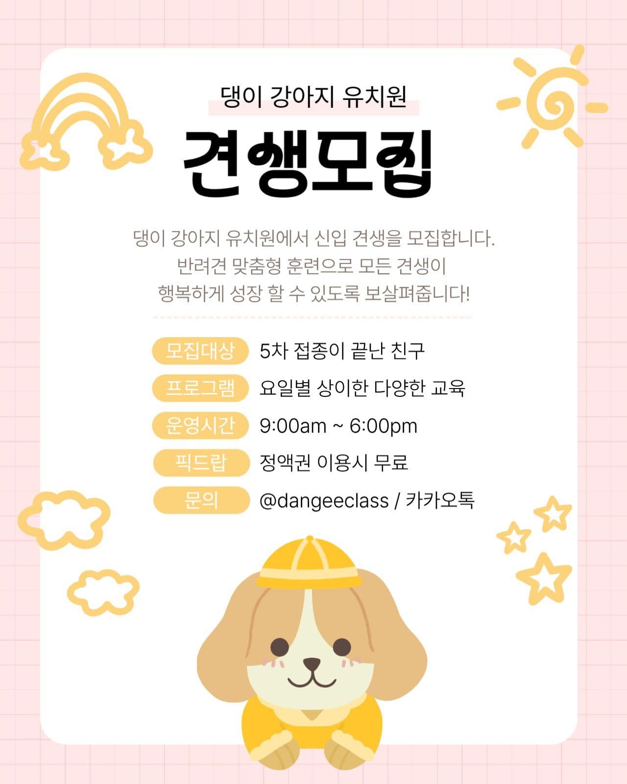강아지유치원 견생모집