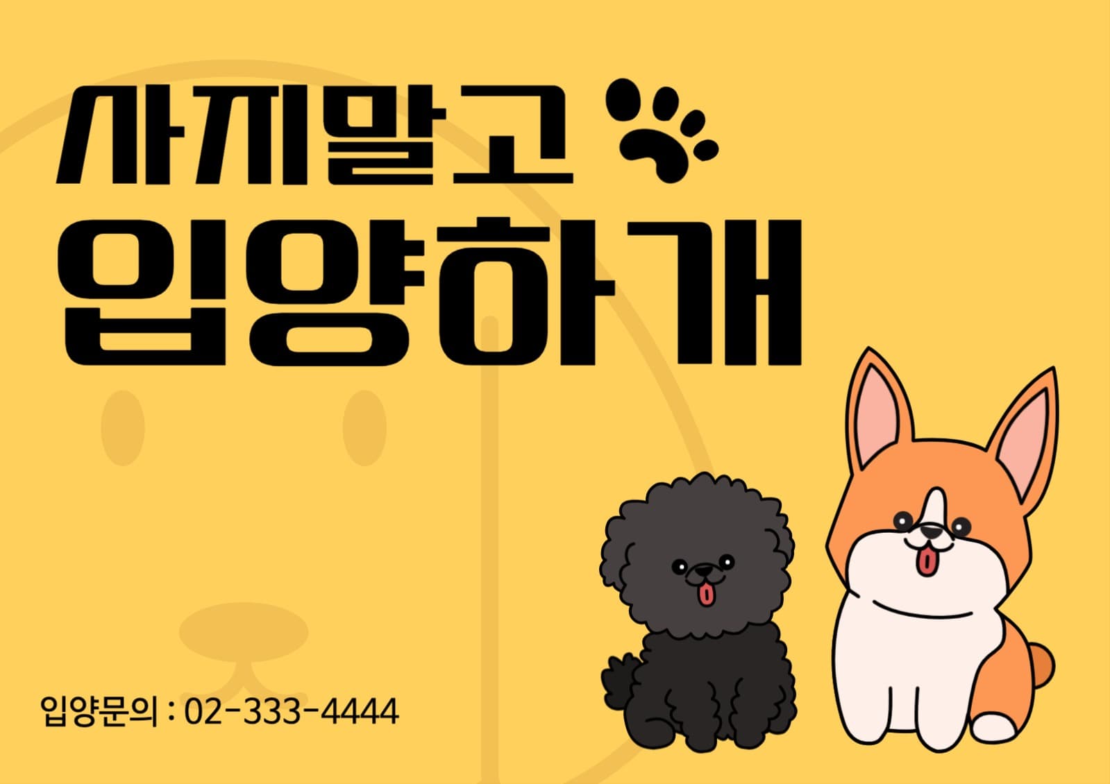 사지말고입양하개