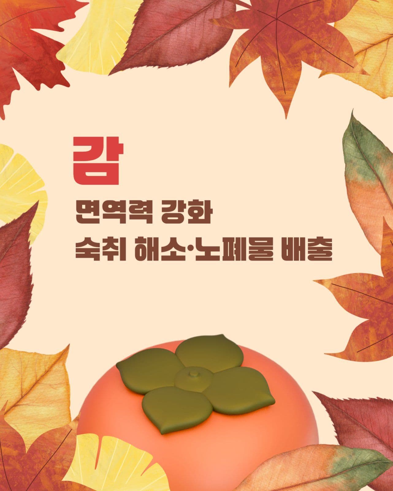 가을 과일 카드뉴스