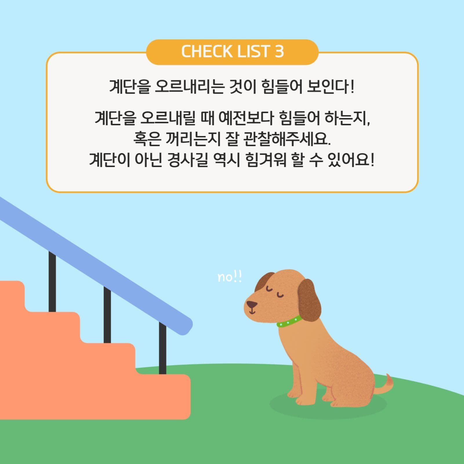 멍냥이 관절건강 체크리스트