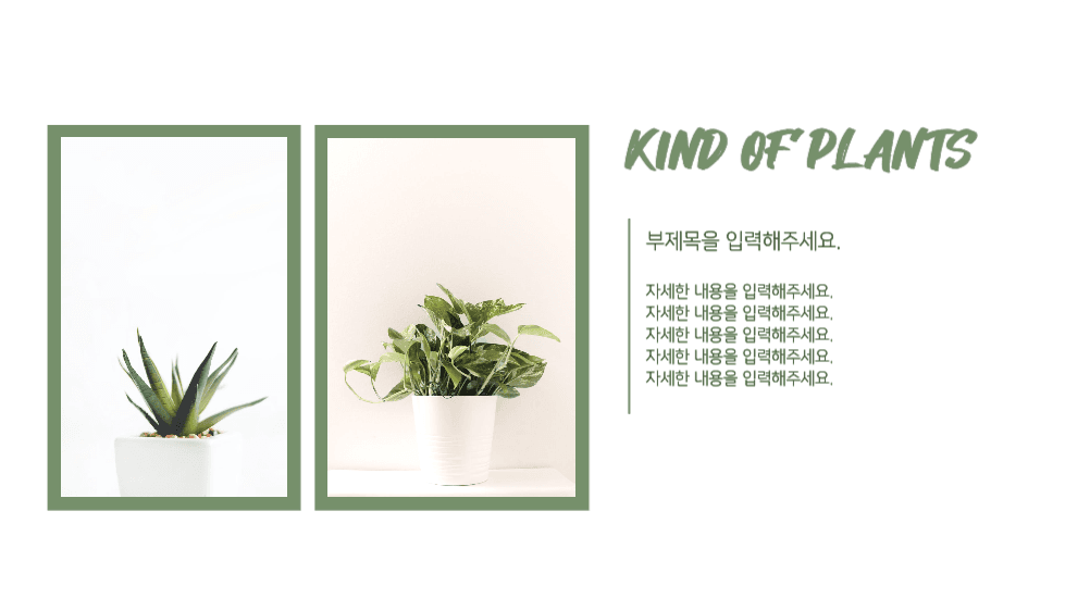 식물 조사 피피티