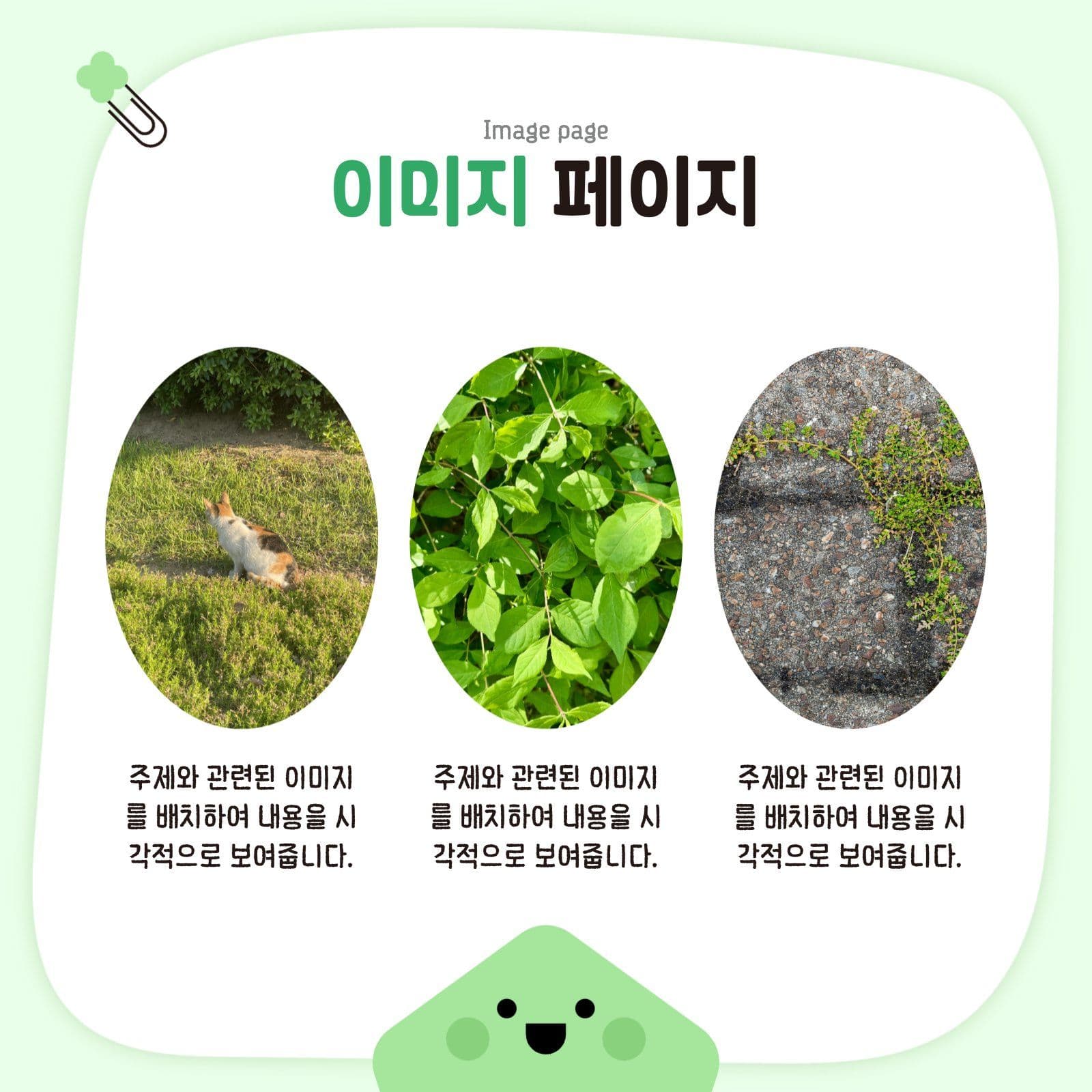 간단하고 귀여운 카드뉴스