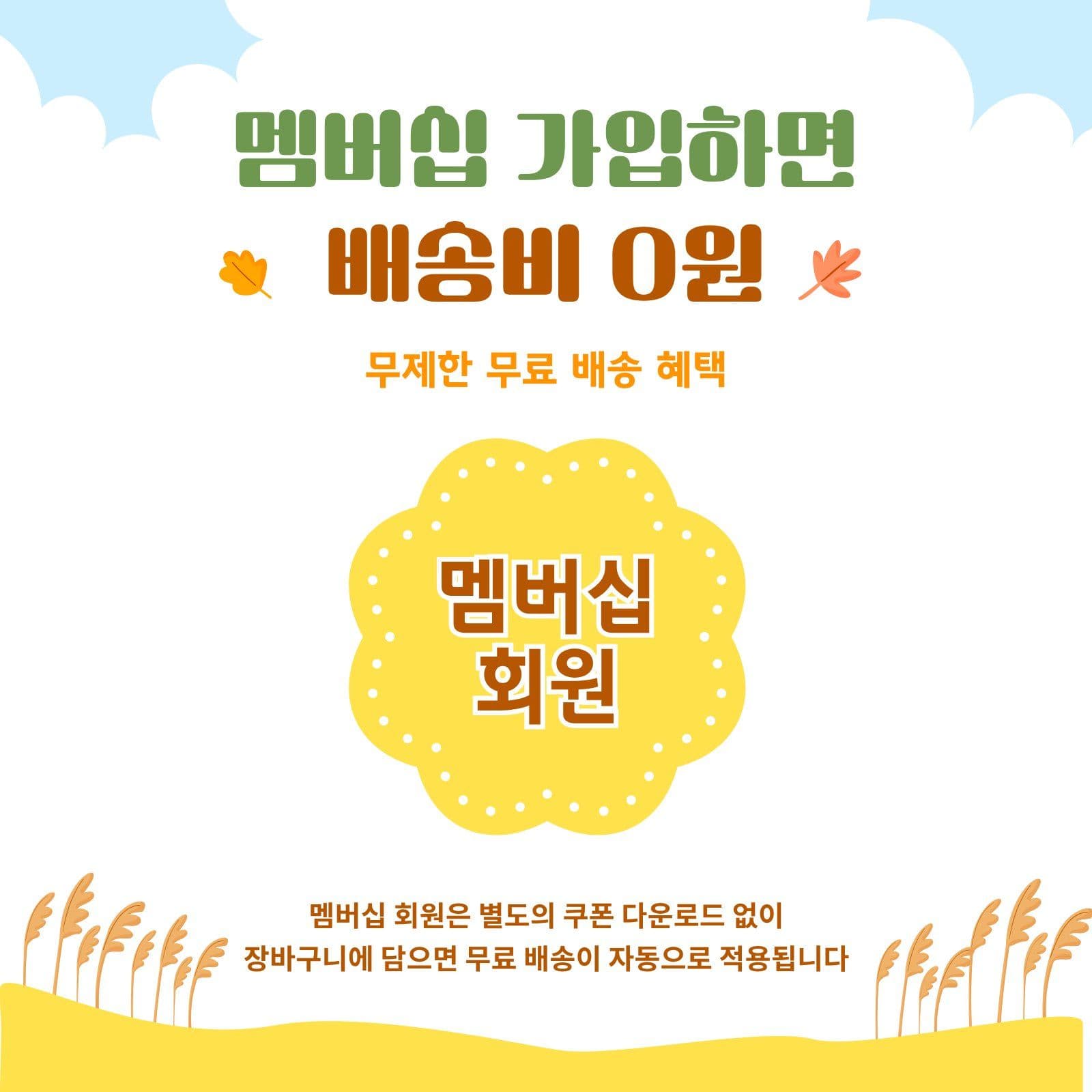 갈대 풍경 가을 프로모션 할인 카드뉴스 템플릿