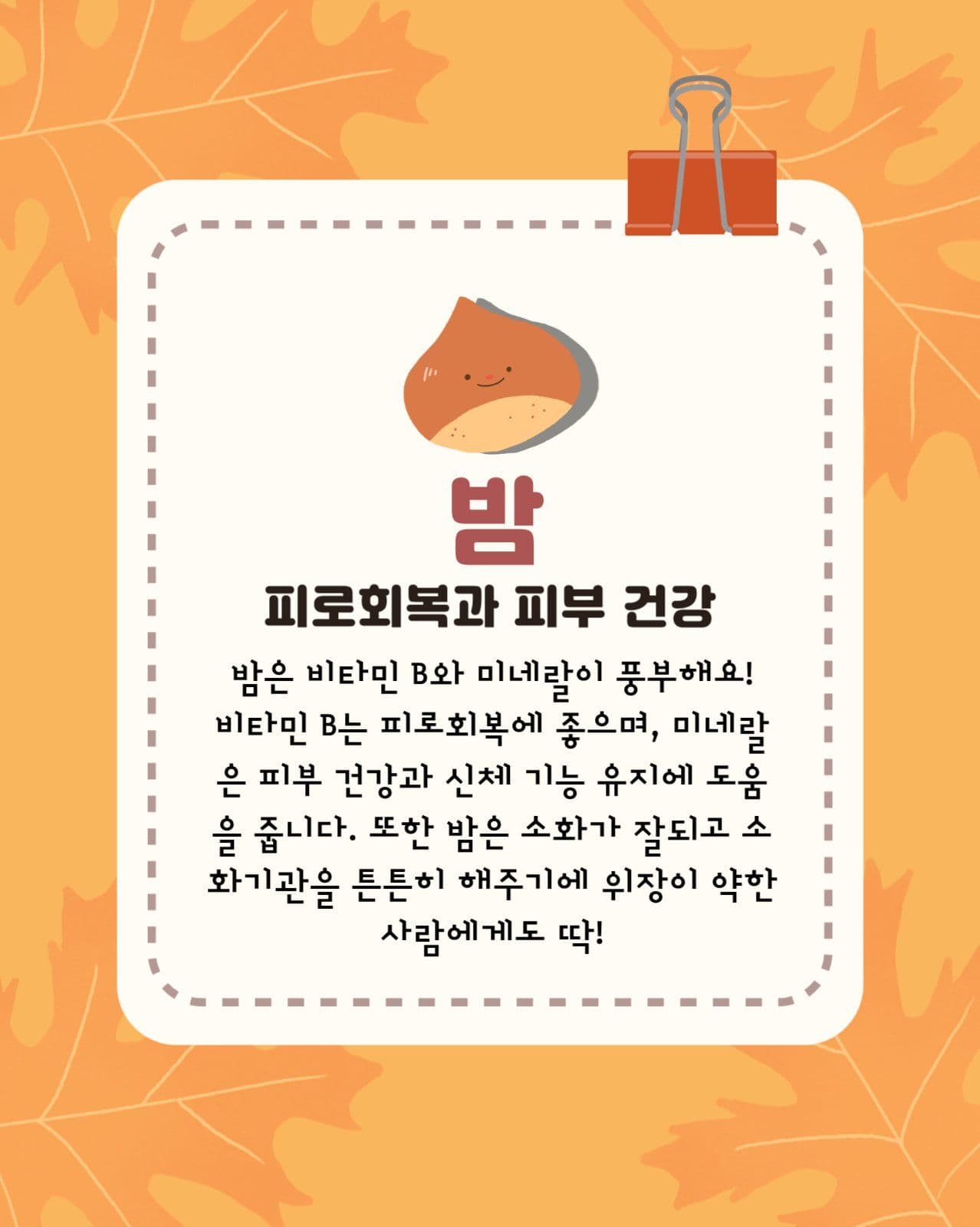 가을 먹거리 카드뉴스