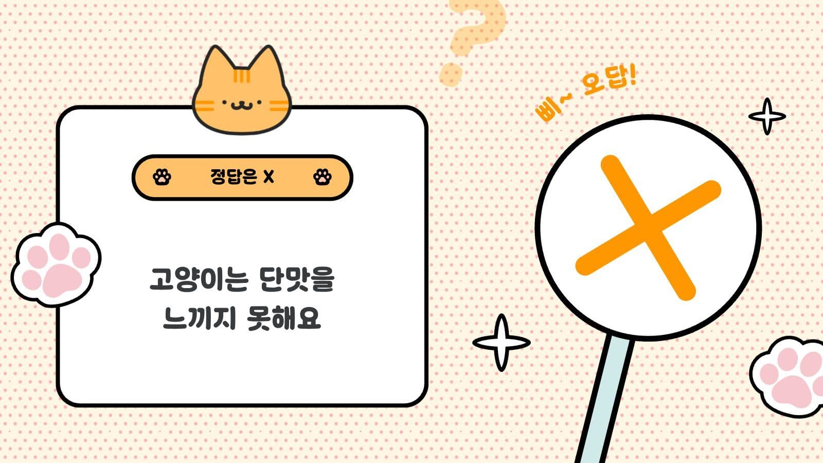오엑스 퀴즈용 PPT 고양이 편