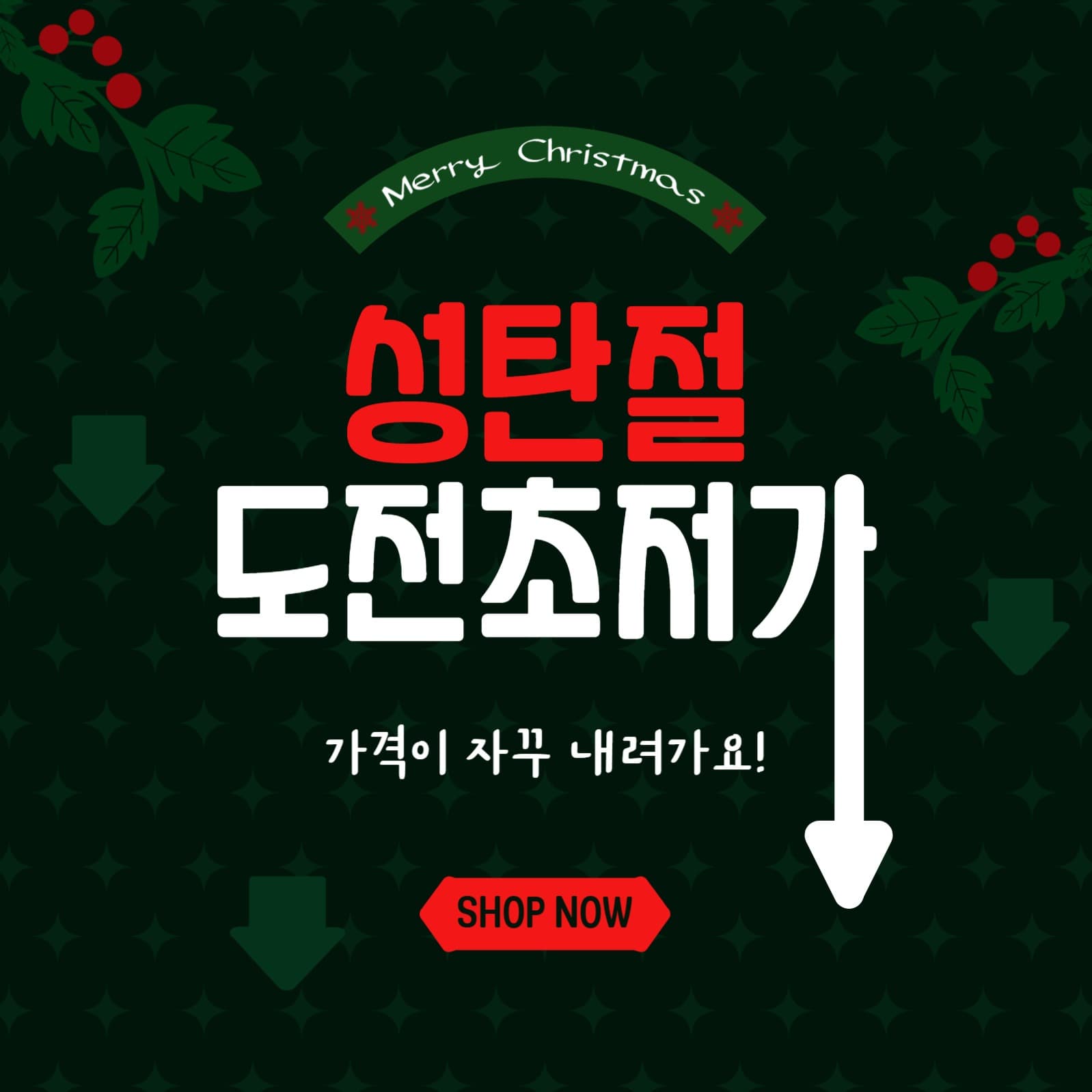 성탄절도전초저가