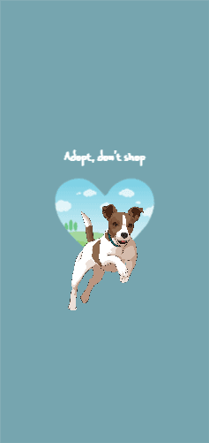 Adopt, don't shop 