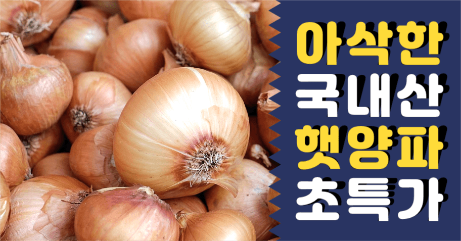 아삭한 국내산 햇양파 초특가 인스타