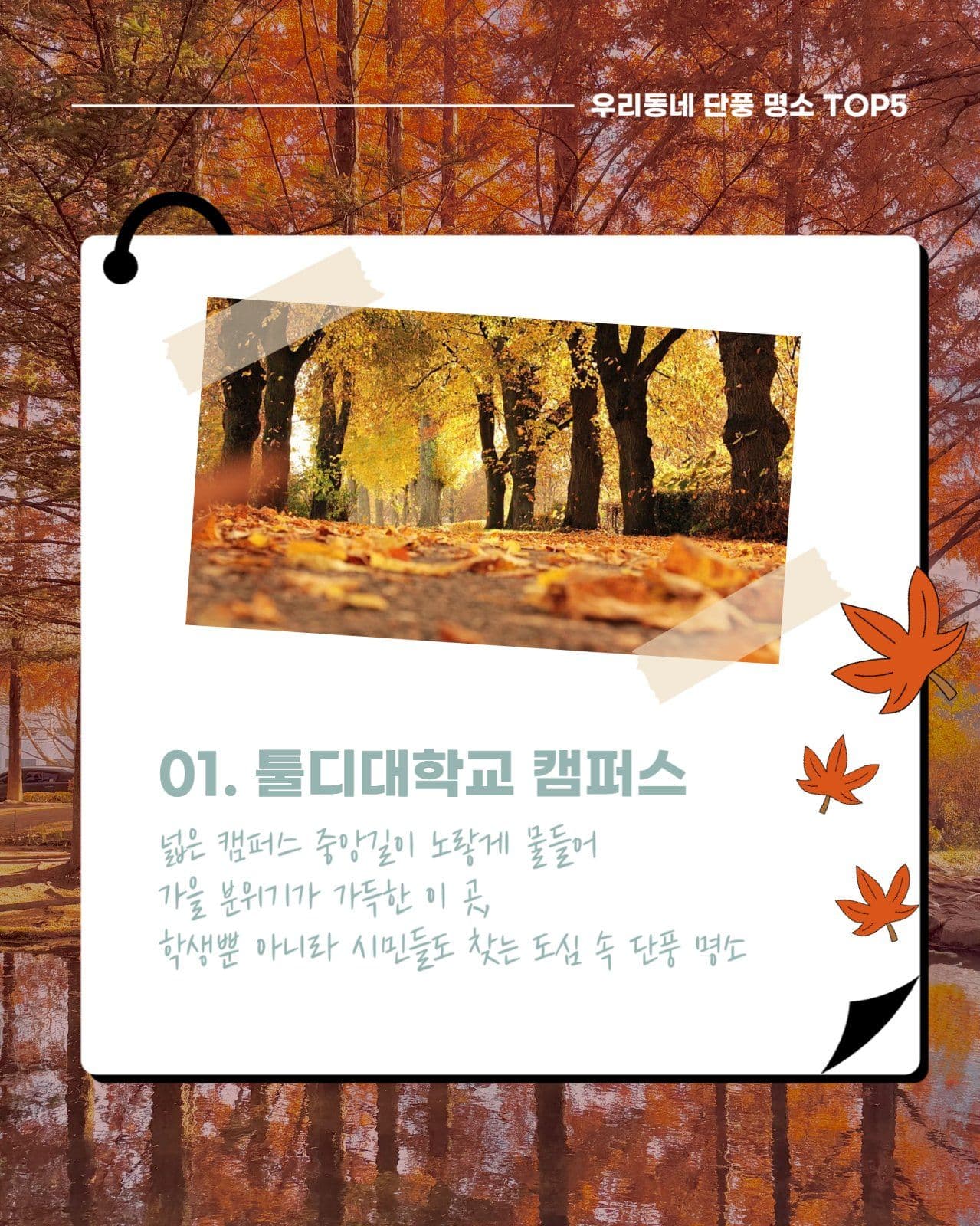 가을 단풍 명소 소개 카드뉴스