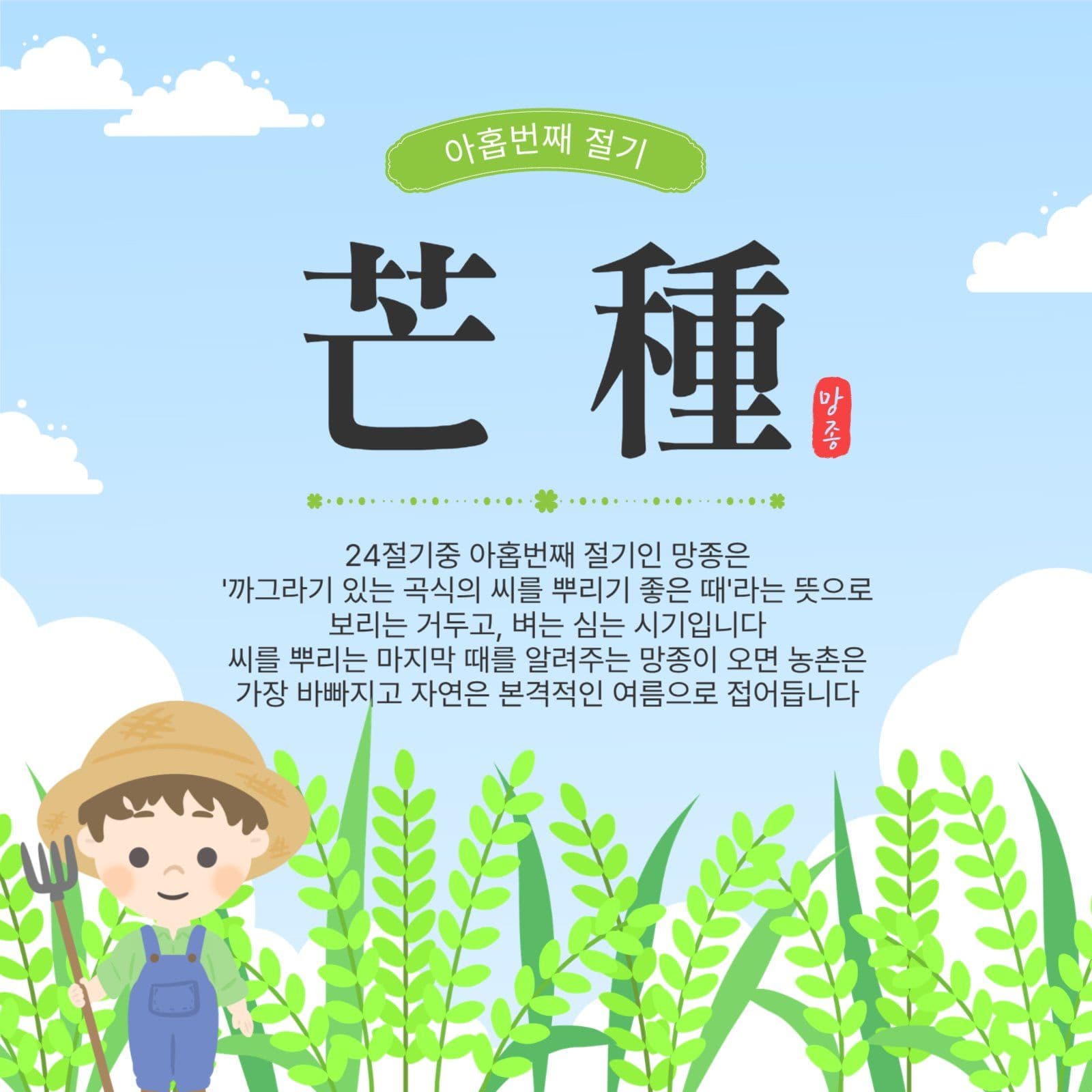 망종절기