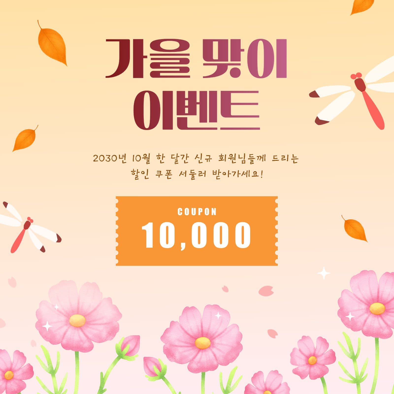 코스모스 배경 가을 맞이 이벤트