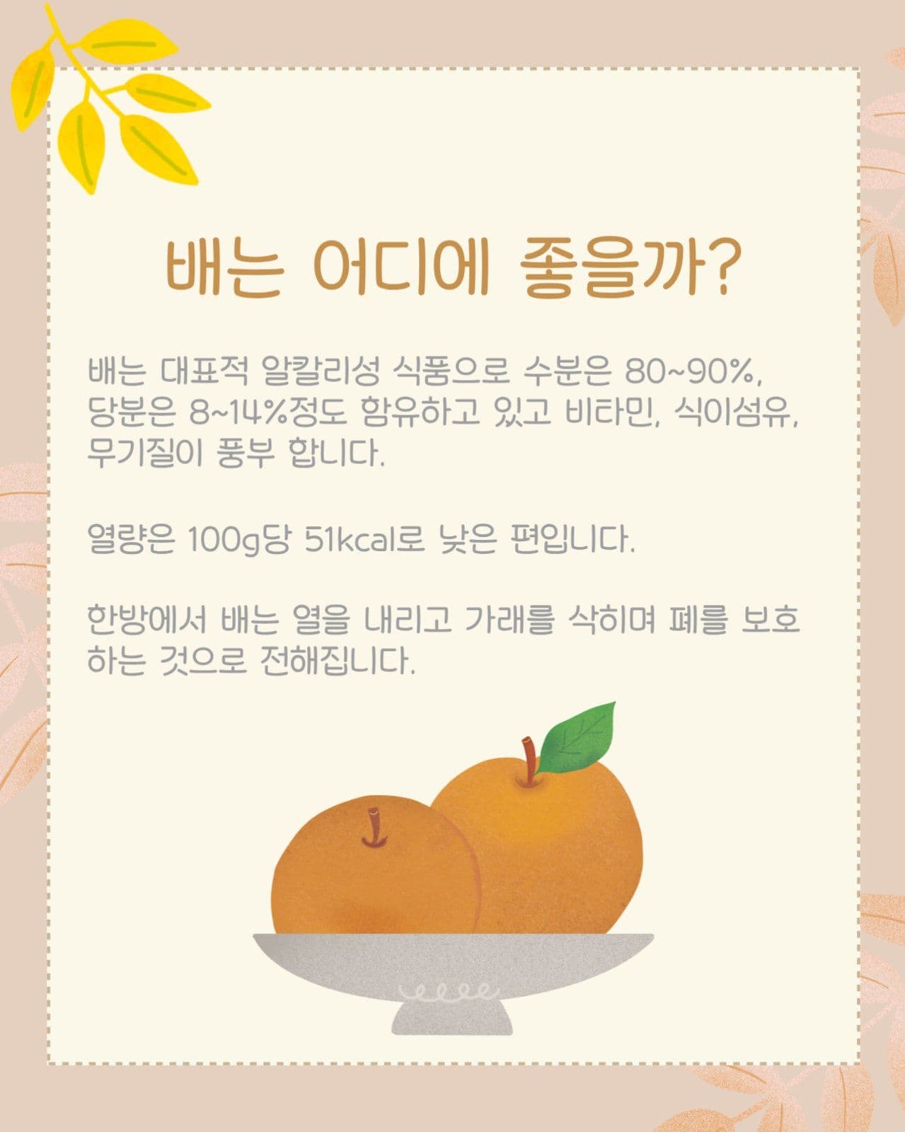 배 이야기