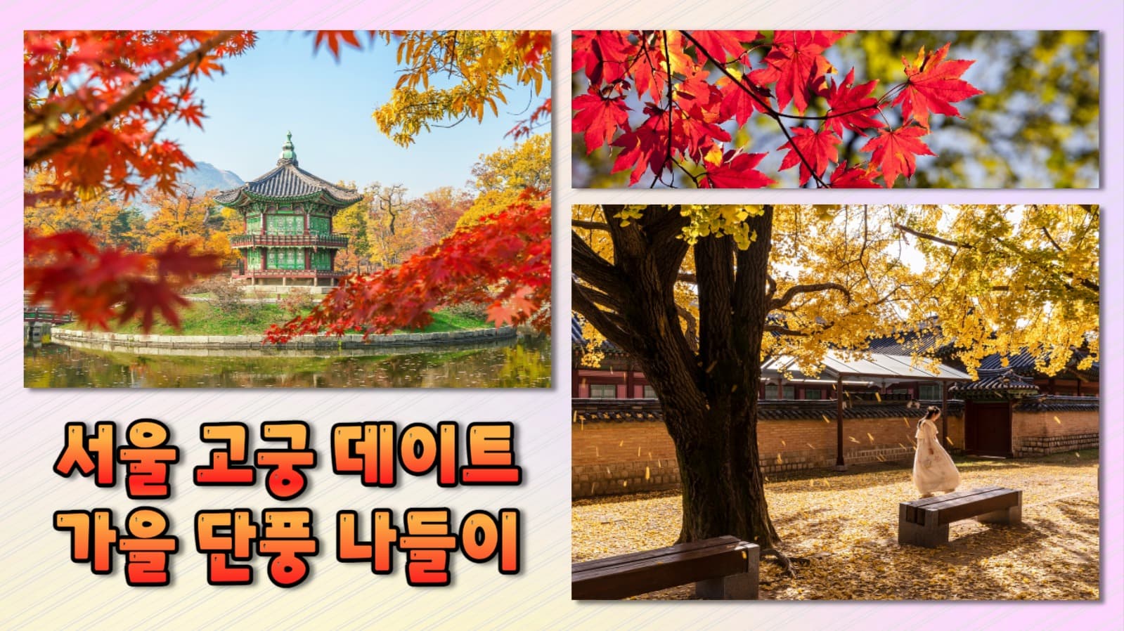 가을 단풍 나들이 유튜브 썸네일 