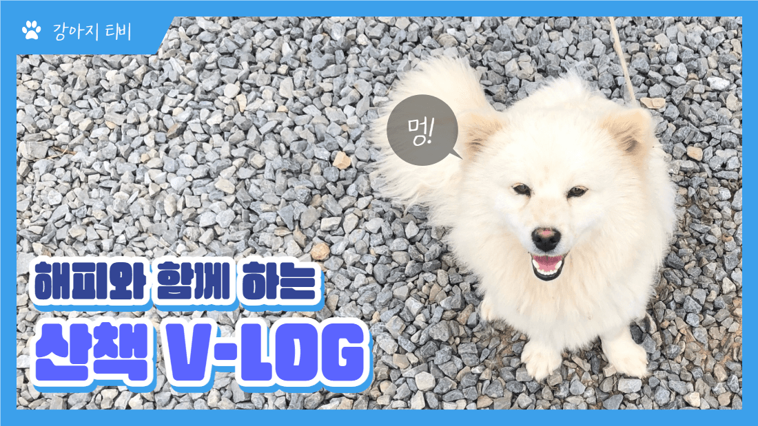 해피와 함께 하는 산책 V-LOG