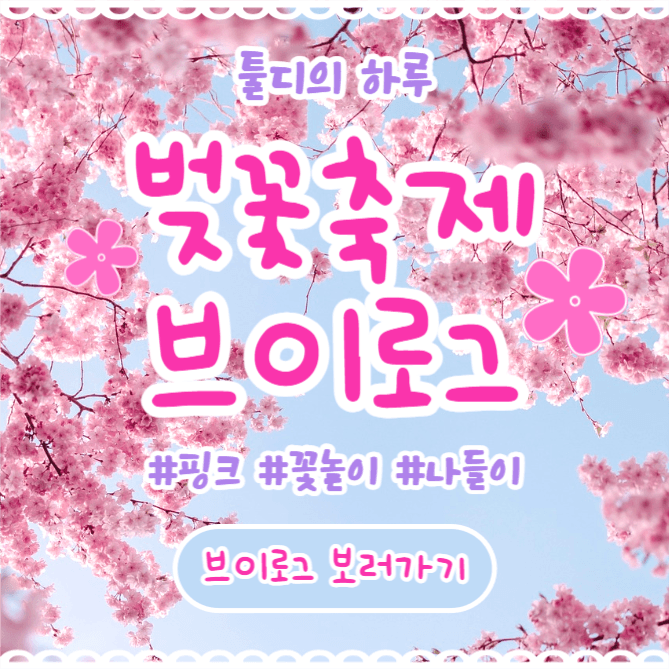벚꽃축제 브이로그 (인스타)
