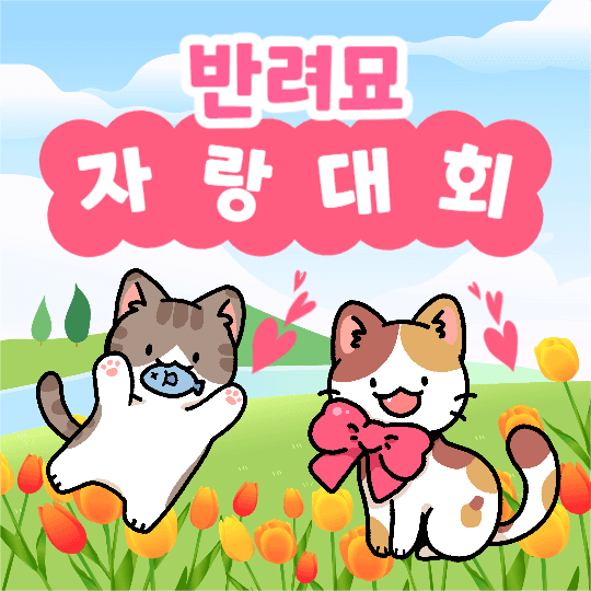 반려묘 자랑대회 (페이스북)