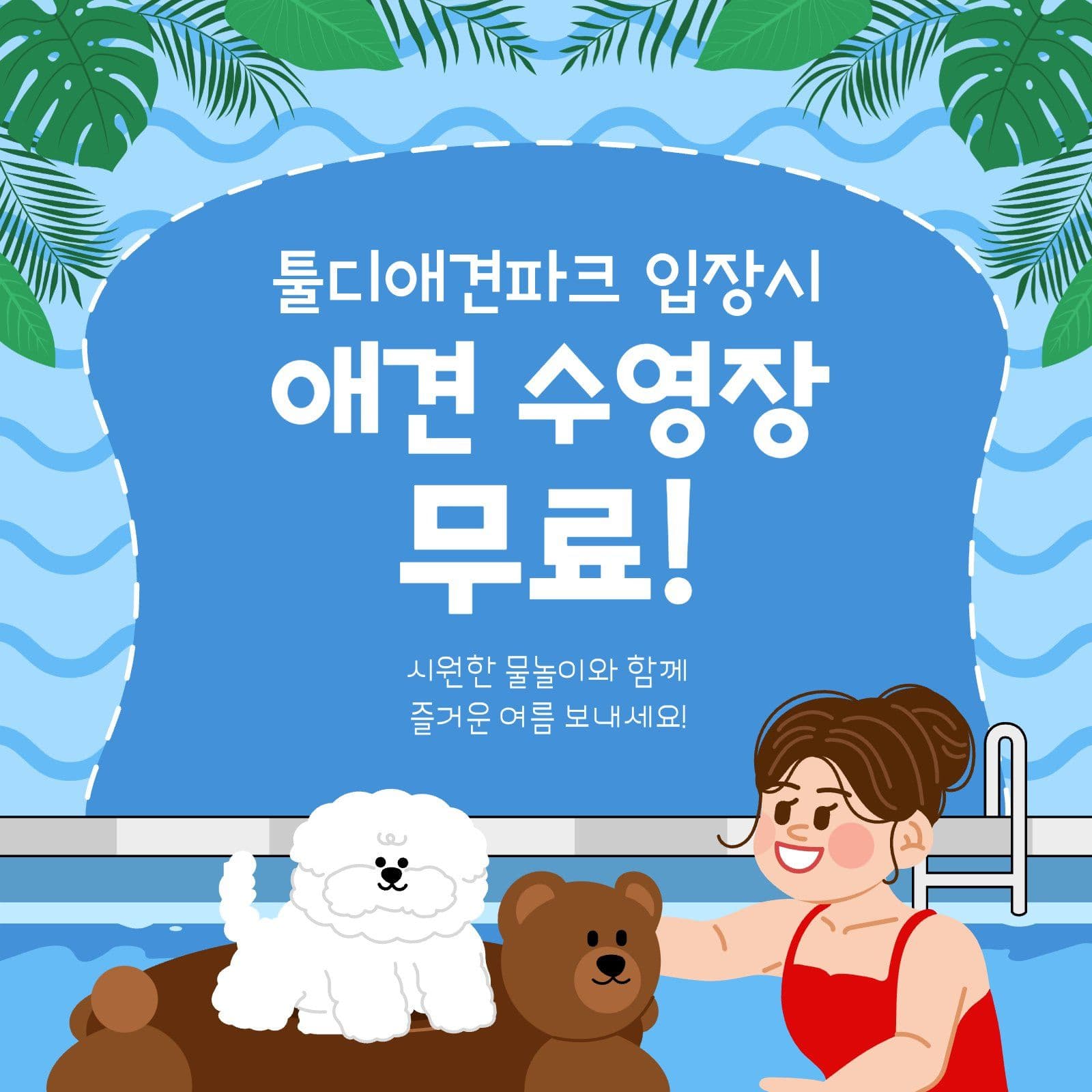애견 수영장 무료입장 안내
