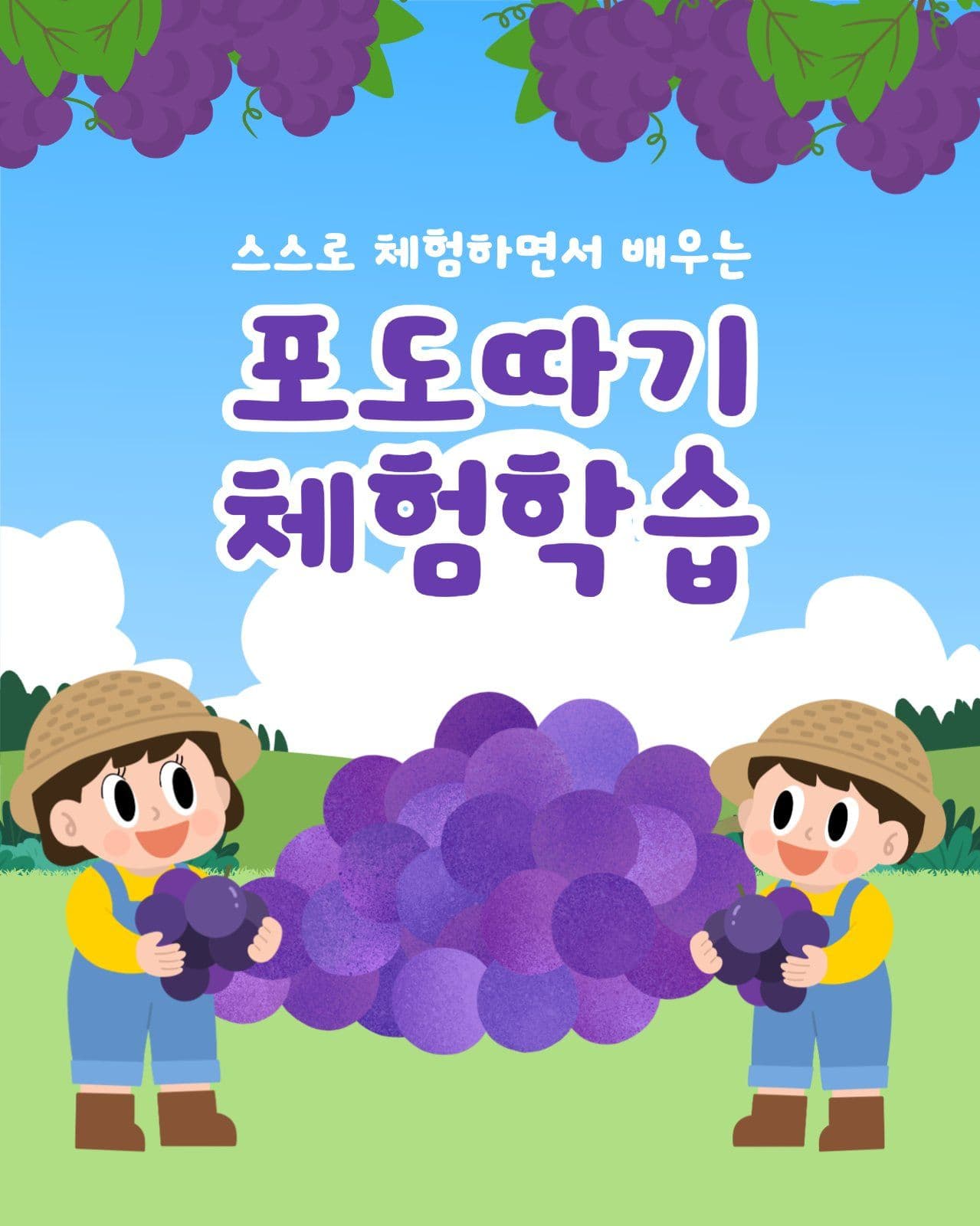 포도농장 체험활동