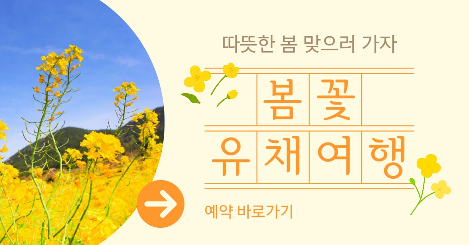 유채꽃 여행 예약 홍보