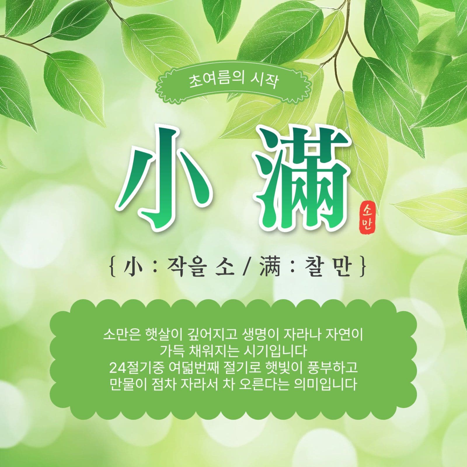 초여름의시작소만