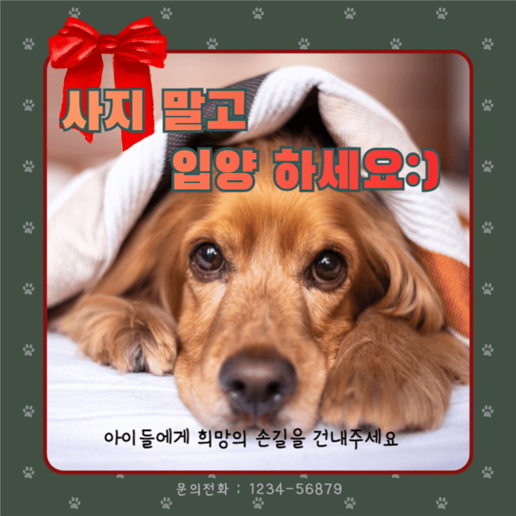 사지 말고 입양하세요