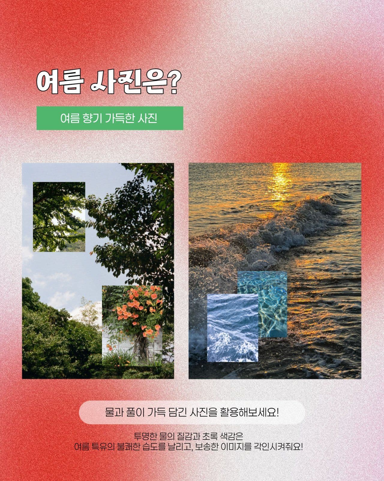 제철디자인 카드뉴스