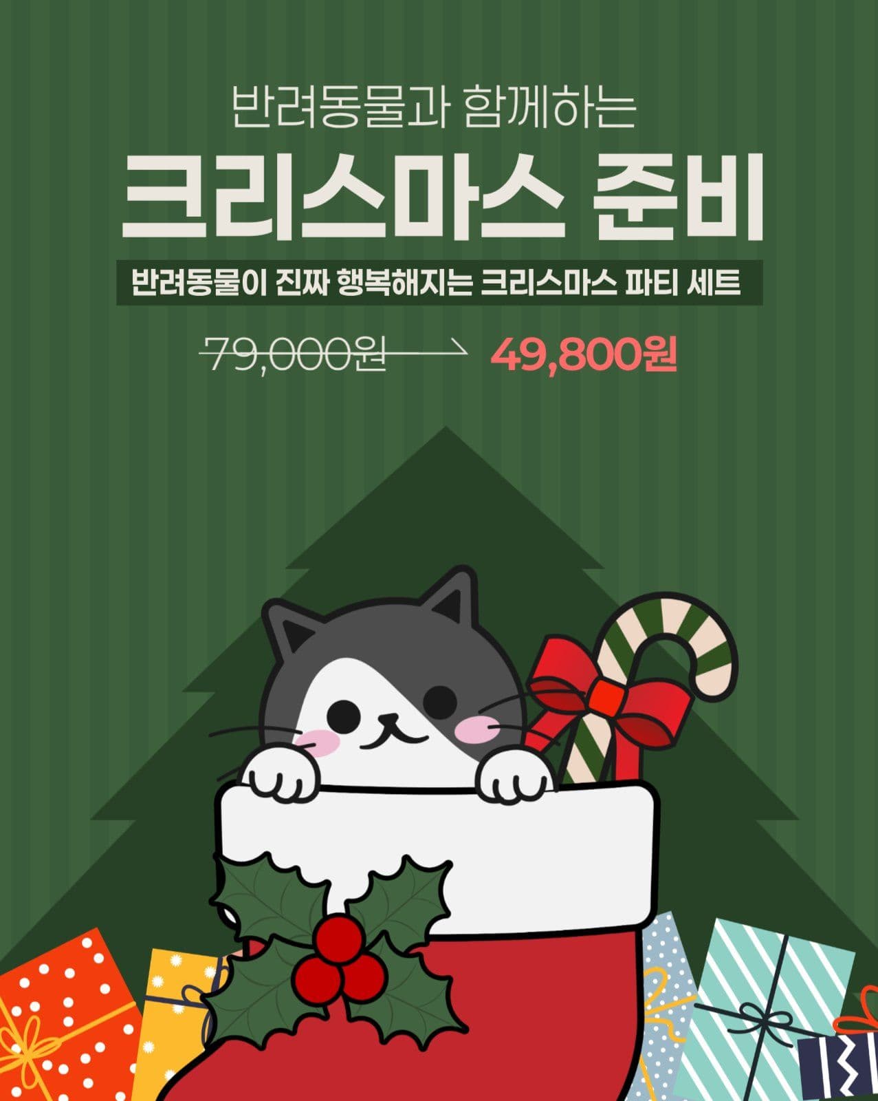 반려동물 크리스마스 용품 