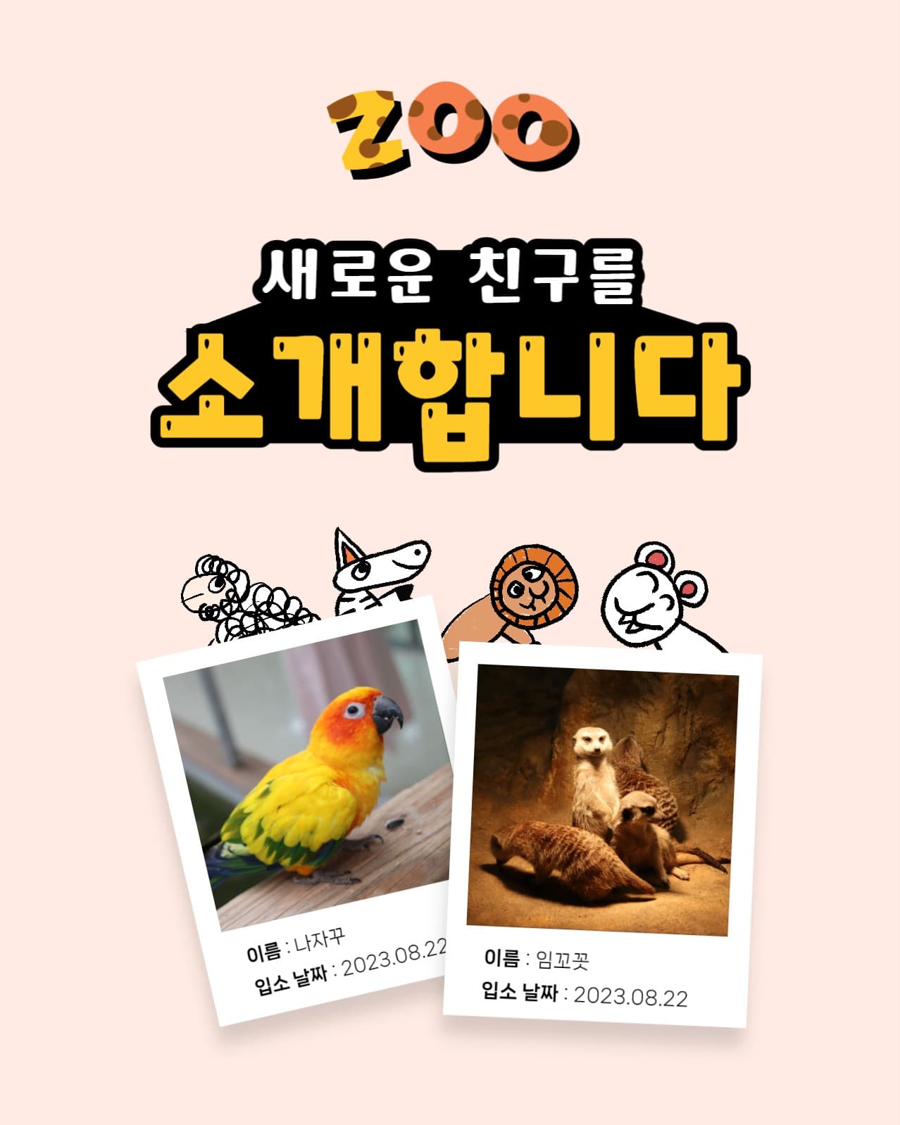 동물원 새내기 친구 인스타