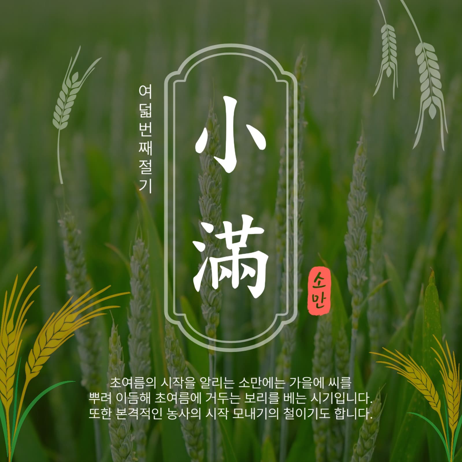 여덟번째절기소만