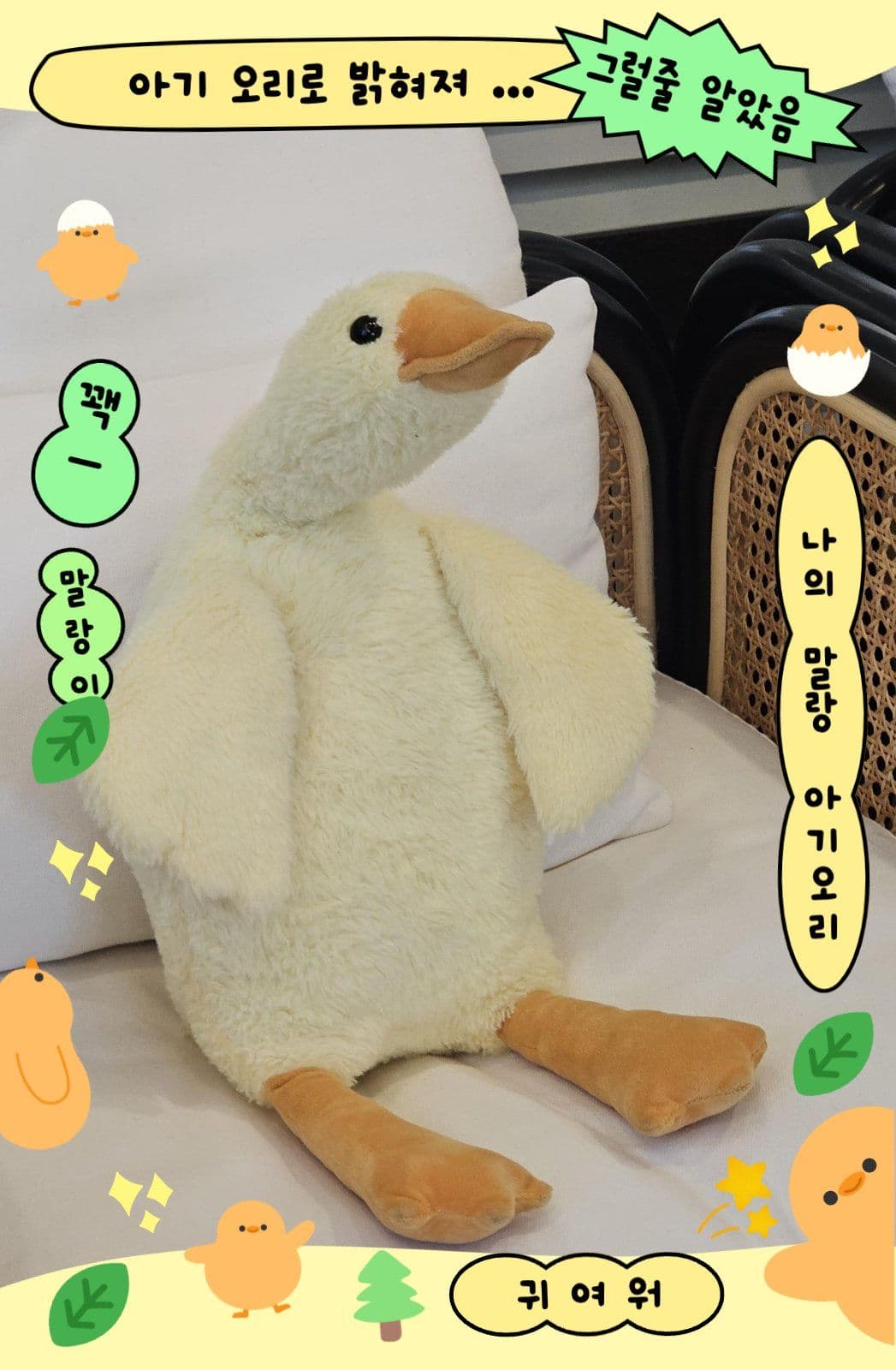 오리 / 병아리 포토카드 프레임