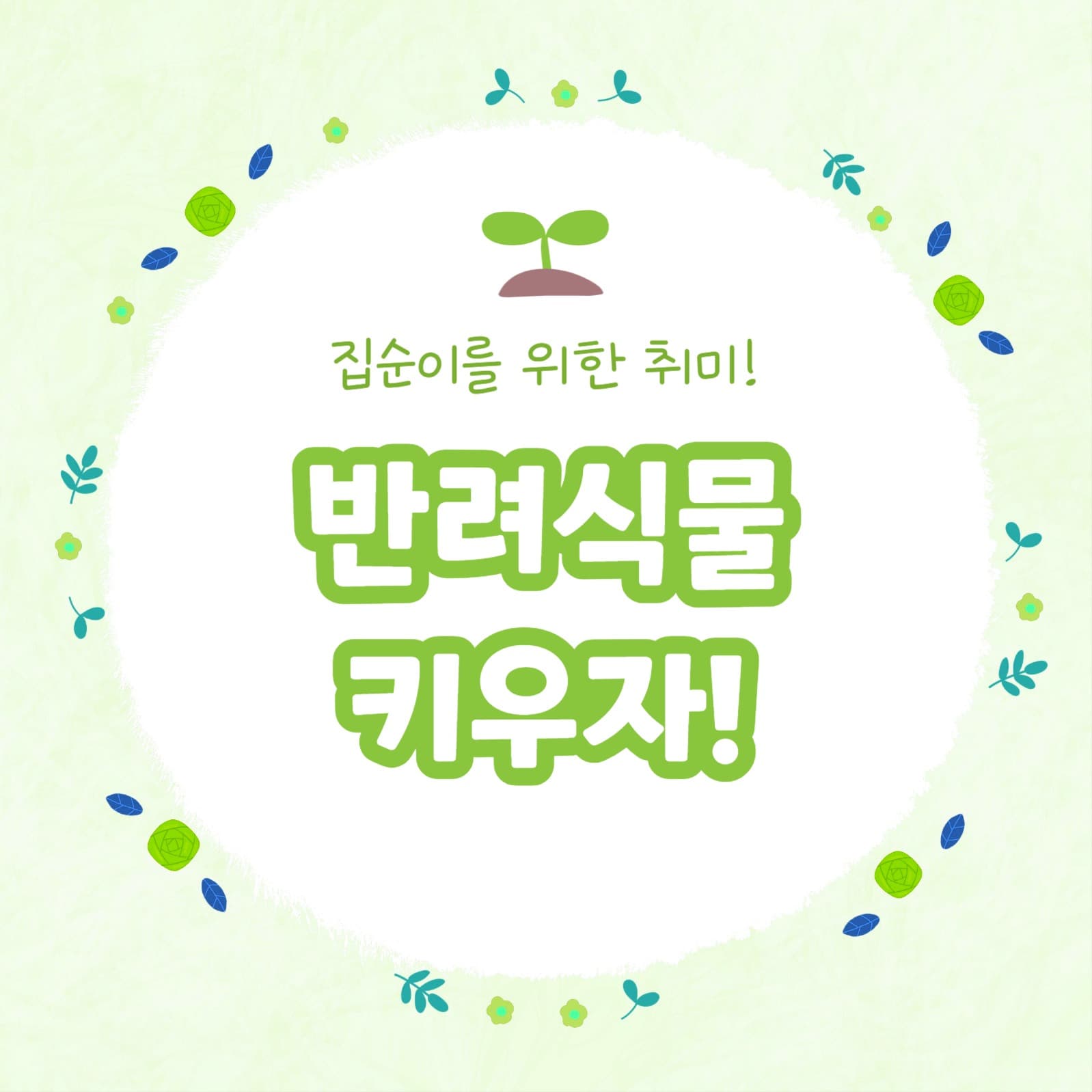 반려식물 추천 모음 카드뉴스