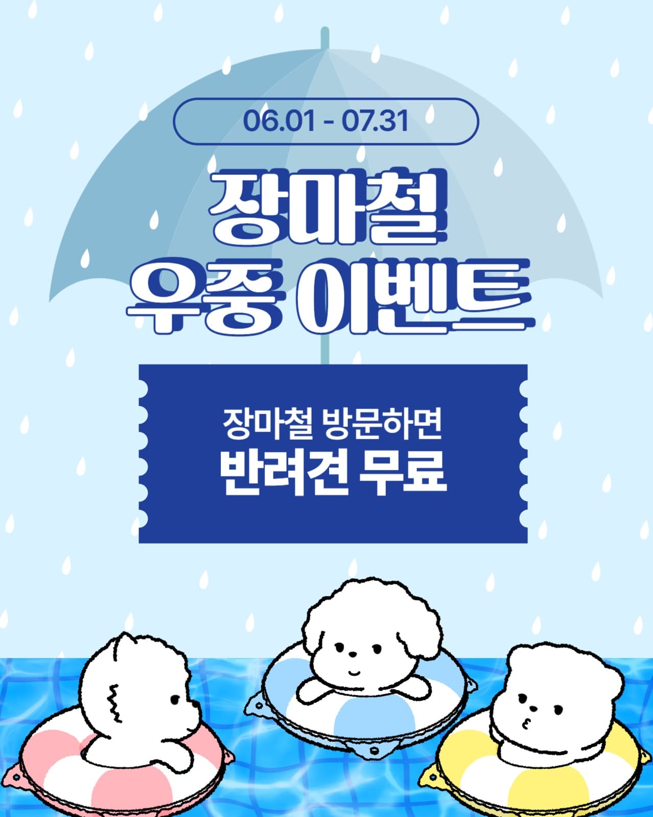 장마철 우중 반려견 무료 이벤트