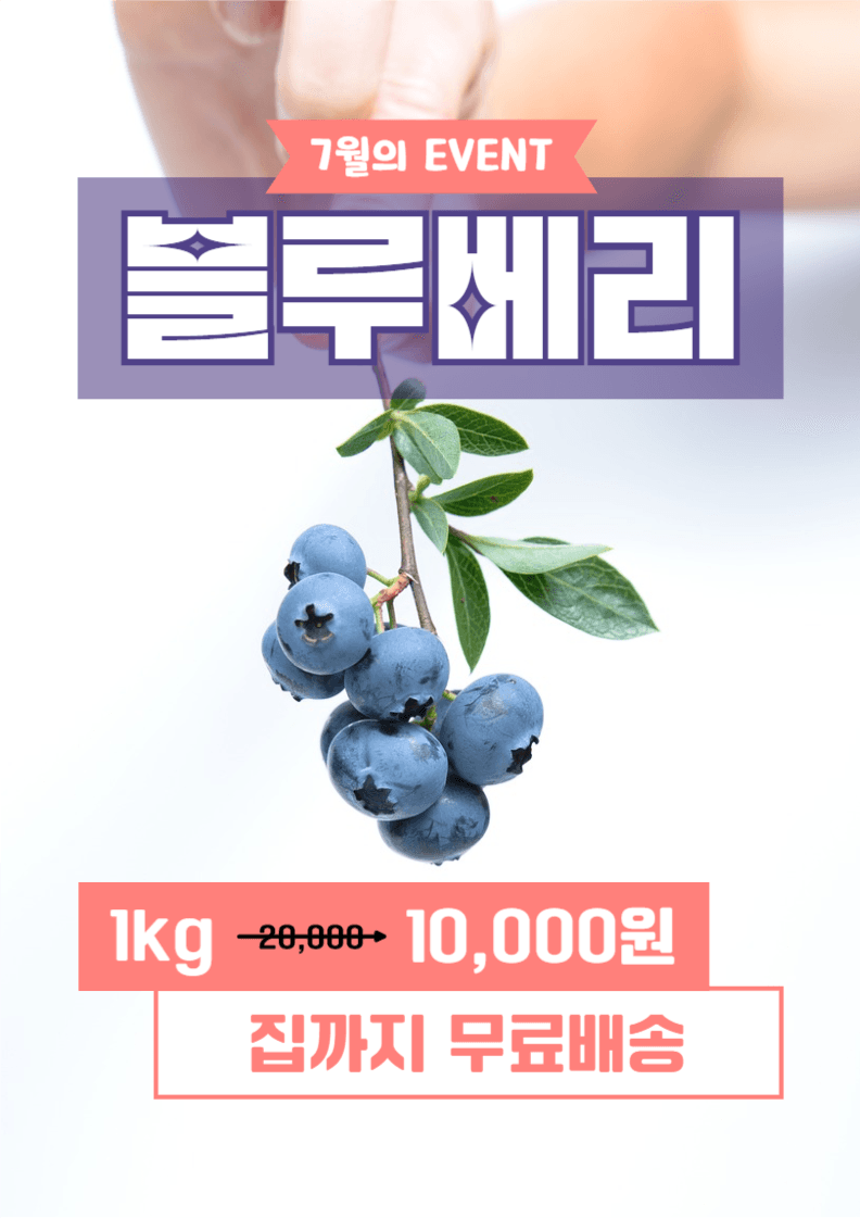 블루베리 할인 이벤트