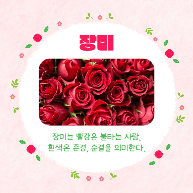 예쁜 꽃말 모음집 (카드뉴스)