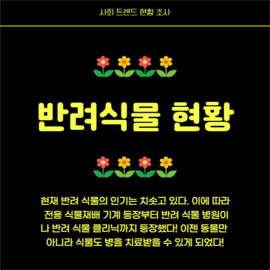 반려식물 키우기 (카드뉴스)