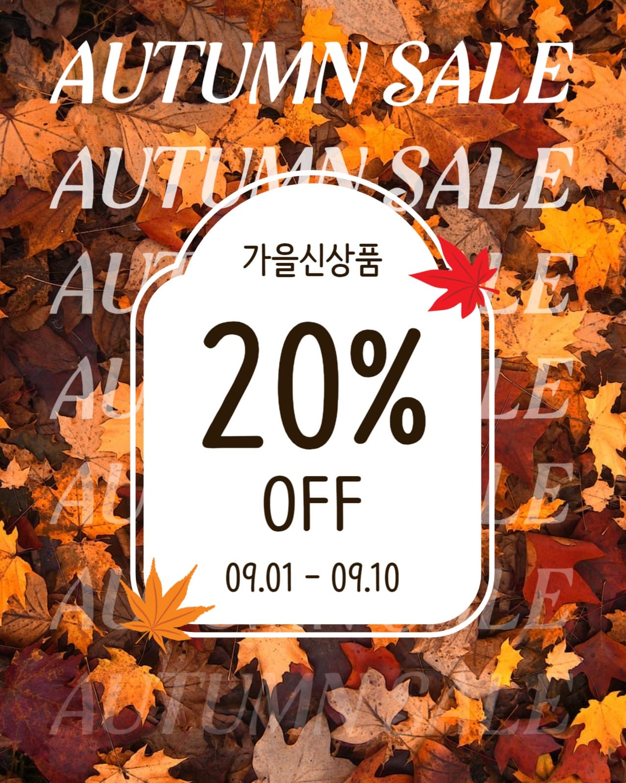 가을신상품세일