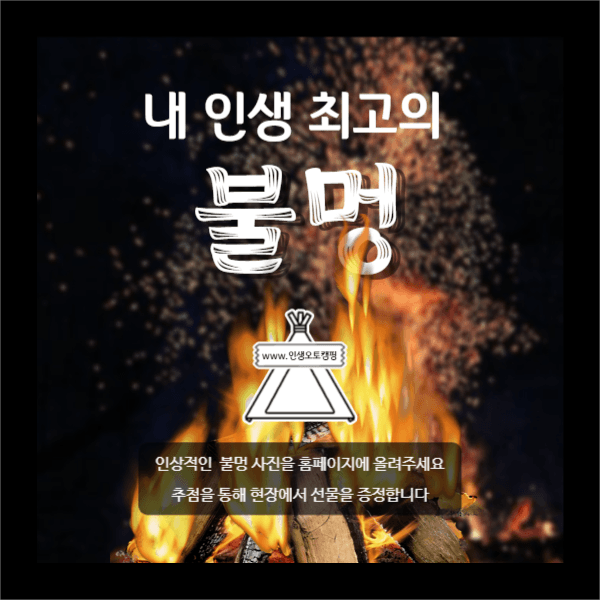 내 인생 불멍