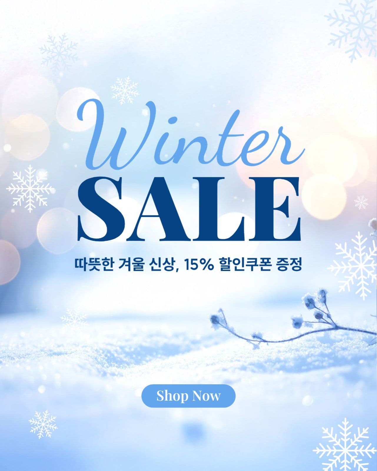 겨울 세일