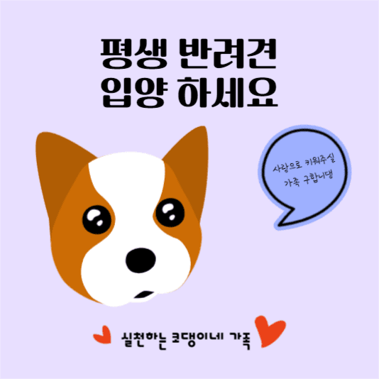반려견 입양 가족