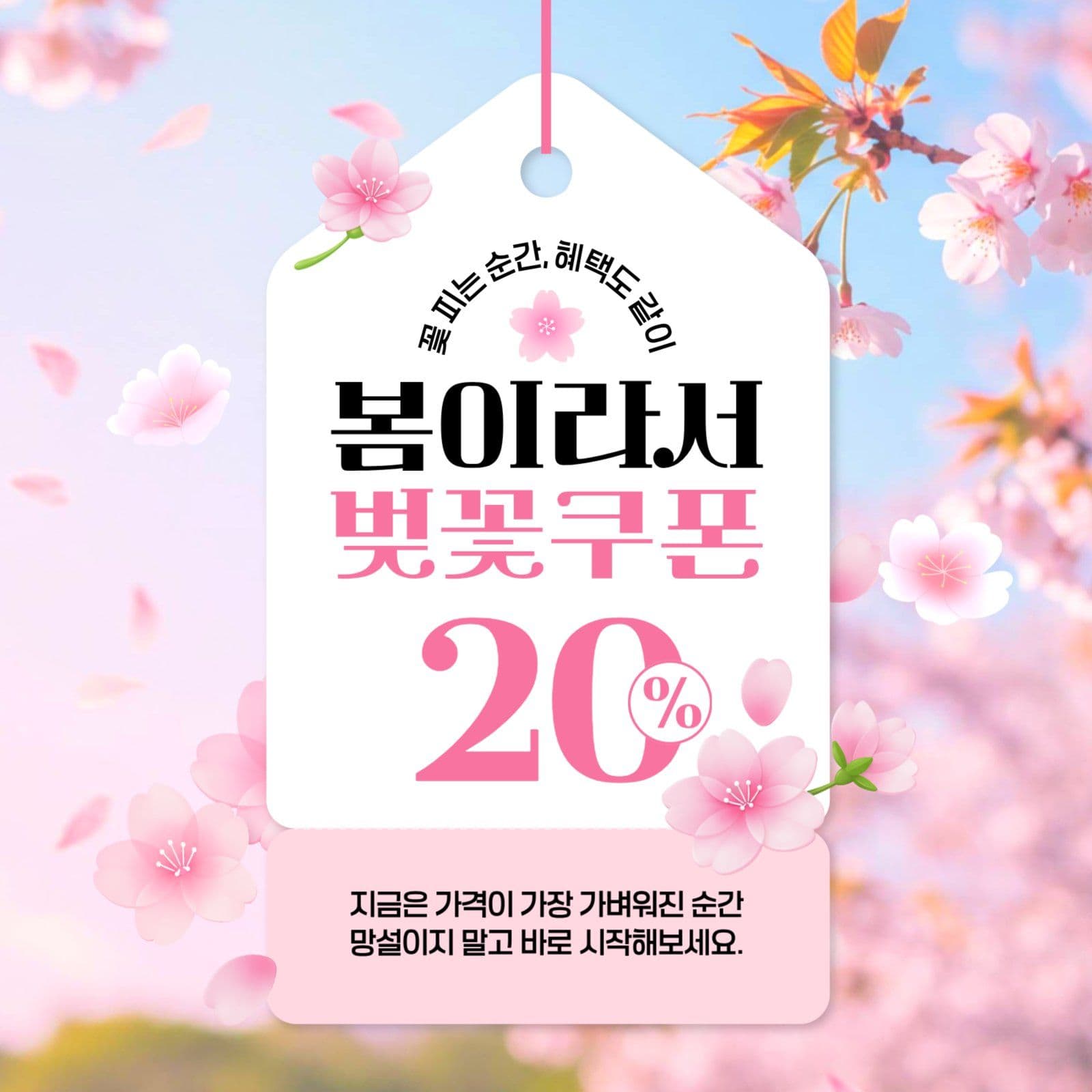 봄이라서 벚꽃쿠폰