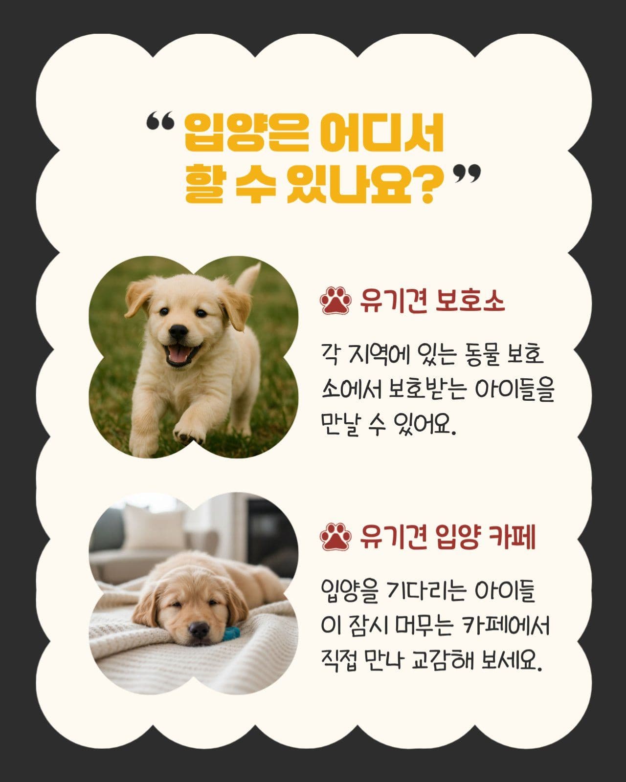 블랙 베이지 귀여운 카드뉴스